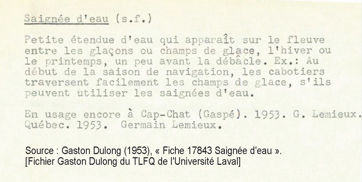 Fiche dialectologique de Gaston Dulong consacrée au mot "saignée d'eau"
